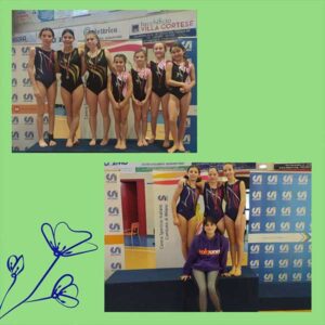 Lombardia Uno | Affitto Campi da Calcio, Calcetto, Beach Volley, Beach Tennis, Foot Volley e Paddle Padel a Milano | immagine ginnastica artistica gara squadre small 18 febbraio 2023